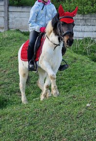 Spoľahlivá športová pony S pre najmenšie deti - 4