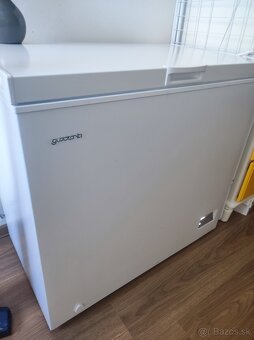 GUZZANTI TRUHLICOVA MRAZNICKA - 4