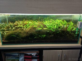 Stojan so skrinkou na akvarium + akvarium 246L s vybavenim - 4