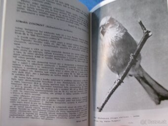 PIZ exotické ptacvo + kanáří 1982-1991 - komplet. - 4