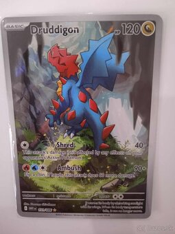 Pokémon karty - 4