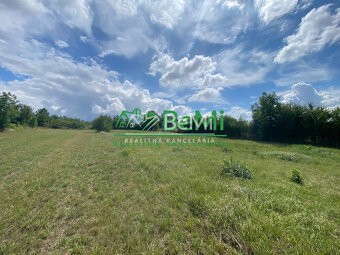 Veľký Lapáš RD pôvodný stav pozemok 3 226 m2 ID 570-12-MIG - 4