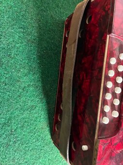 Harmonika Weltmeister - 4