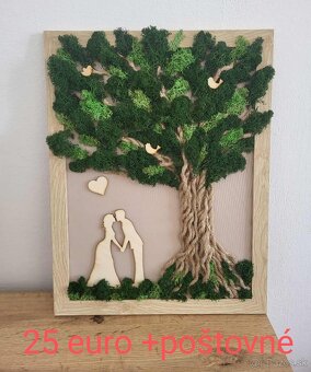 Predám machové  obrazy. - 4