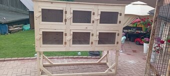 Zajačnik kralikaren - 4