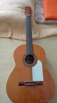 Gitara - 4