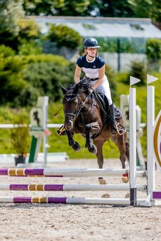 KRÁSNÁ KOBYLKA DO PONY SPORTU - možnost i na MČR - 4