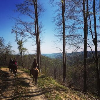 Jazdenie na koňoch - 4