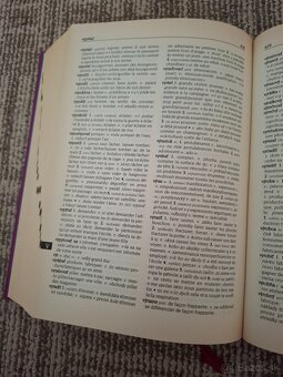 Slovensko - francúzsky slovník - 4