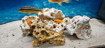 Predám komplet akvarium - 4