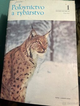 Parožie srnčie - 4