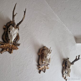 POLOVNICKE TROFEJE - 4