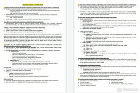 Maturitné zadania z OBČIANSKEJ NÁUKY - 4