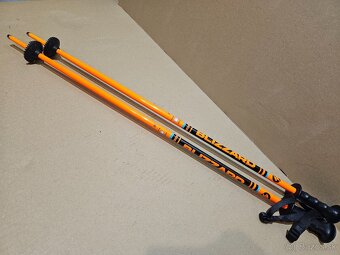 Lyziarske palicky - 4