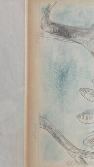 Predam obrazy od Holleho - 4