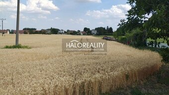 HALO reality - Predaj, pozemok pre rodinný dom 2605 m2 Kút - 4