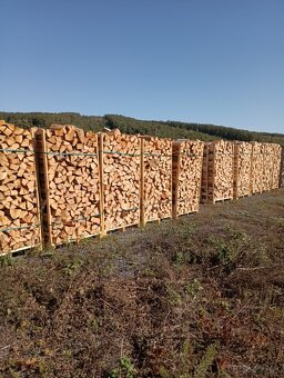 Palivové drevo - 4