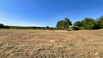 Stavebný pozemok 5285 m², Veľké Vozokany, Zlaté Moravce - 4