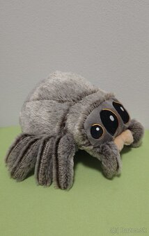 Pavúk Lukáš (17cm) - 4