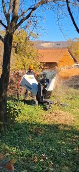 Štiepkovanie - 4