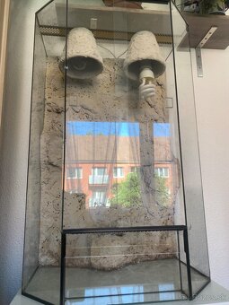 Terarium - 4