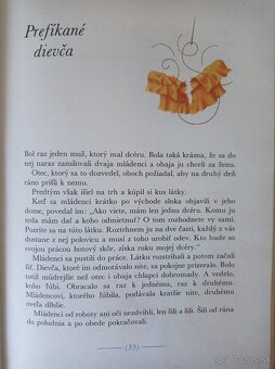 Lev a zajac (Anne Geelhaarová) - 4