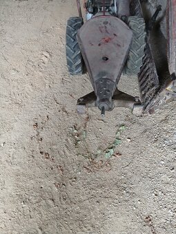 Predam kosacka rakusanku   ROTAX - 4