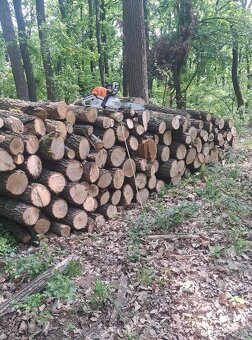 PREDÁM PALIVOVÉ DREVO 🪵🪵🪵 - 4