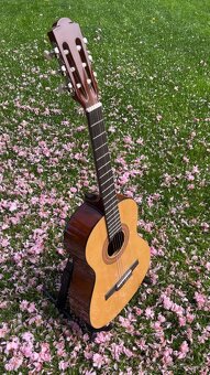 detská GITARA Hohner - 4