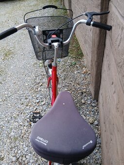 Kenzel Camping - 4