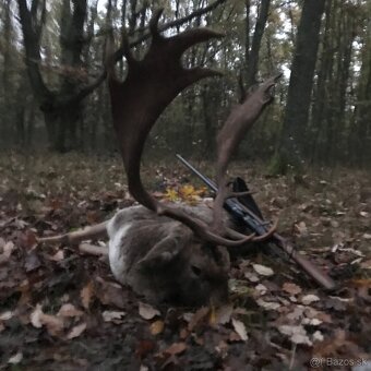 Celoročný lov- polovačka - 4