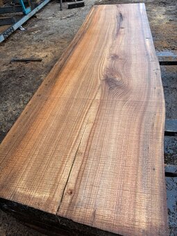 Rezivo Brest Brestove Fošne Kmene Drevo - 4