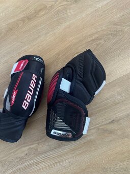 Bauer chranice laktov - 4