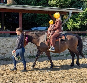 Huculská kobyla so žriebäťom - 4