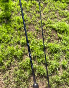 DAIWA Caldia Light Spin 1,95m 1-6g - 4
