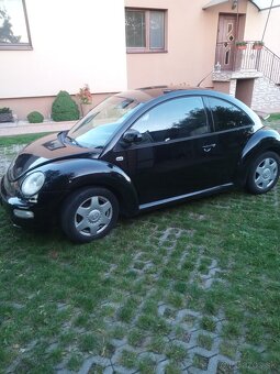 New Beetle - 4