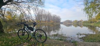 Kellys Phanatic 10 - 4