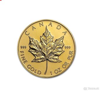 Zháňam zlate mince - 4