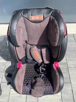 Coletto Sportivo Only Isofix - 4