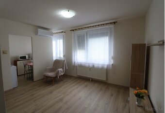 Čerstvo prerobený 1-izbový zariadený byt na prenájom - 4
