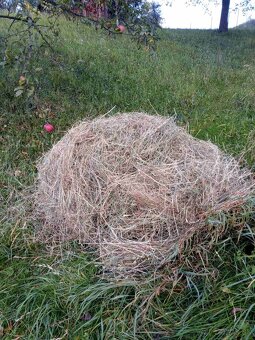 Predaj sena - 4