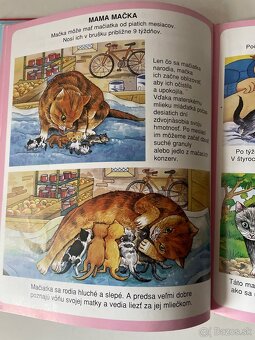 Leví kráľ Walt Disney,Bambi - 4