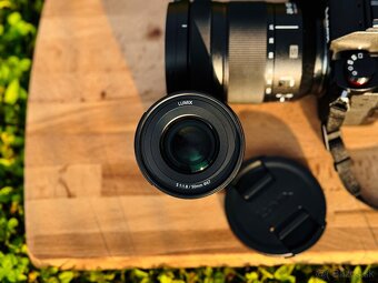 Panasonic Lumix S5 - 4