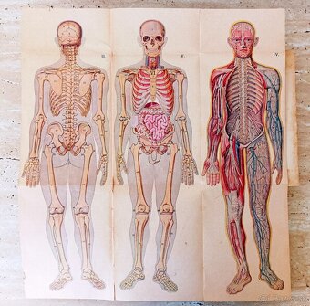 Staré lékařské knihy "Přírodní léčba a domácí lékař", 1923 - 4