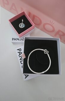Pandora - 4