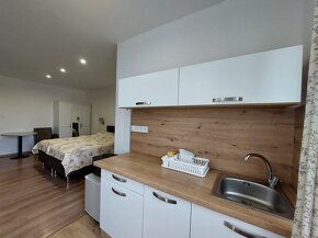 Nesvady: Investičná príležitosť. Znížená cena - 4