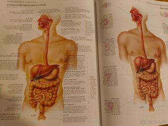 ATLAS ĽIDSKÉHO TĚLA - 4