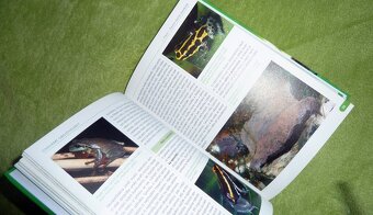 Chováme obojživelníky - Michael Fokt - 4