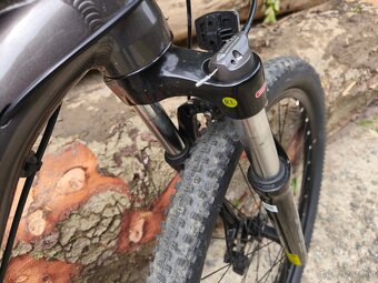 CTM Rambler 1.0 29". 2024 - 4