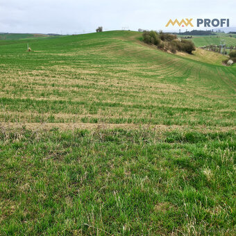 Na predaj, pozemok 5966m2, Turčianske Jaseno, okres Martin - 4